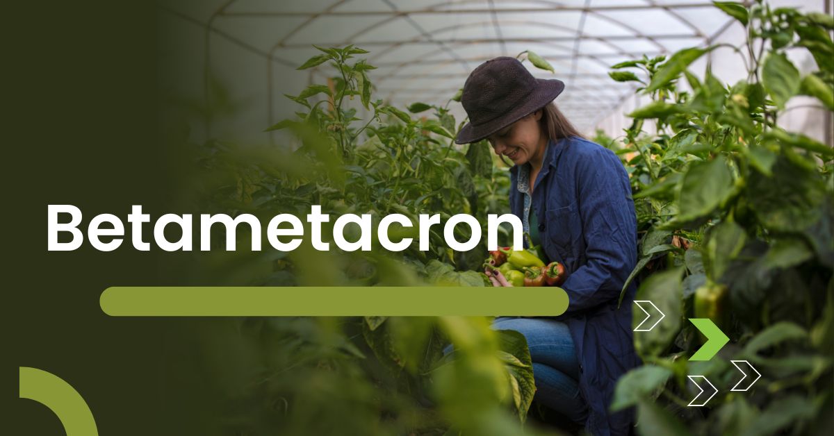 Betametacron