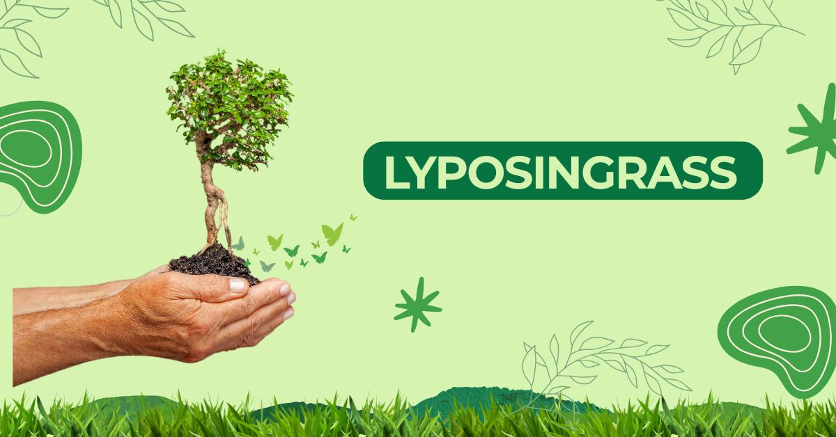 lyposingrass