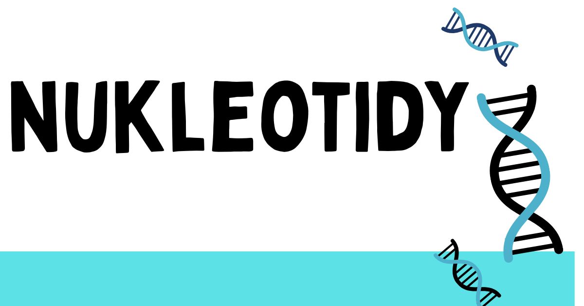 nukleotidy